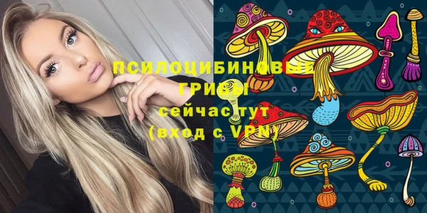 ECSTASY Заводоуковск