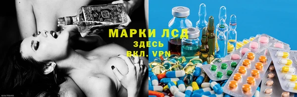 стафф Заволжск
