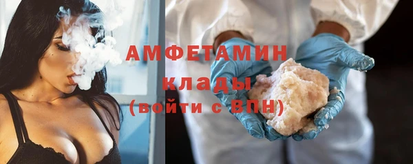 ГАЛЛЮЦИНОГЕННЫЕ ГРИБЫ Заволжье