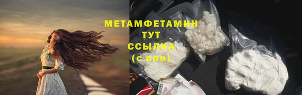 ГАЛЛЮЦИНОГЕННЫЕ ГРИБЫ Заволжье