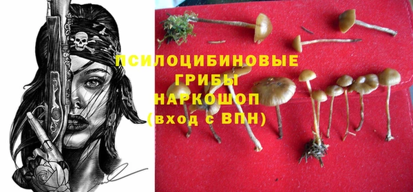 ГАЛЛЮЦИНОГЕННЫЕ ГРИБЫ Заволжье