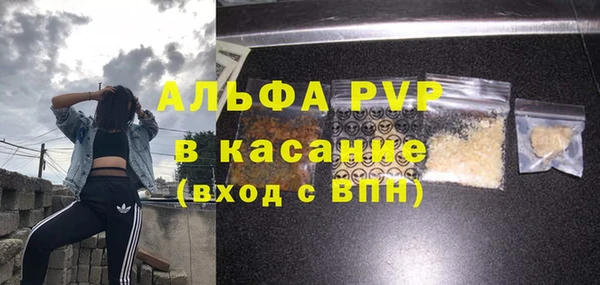 стафф Заволжск