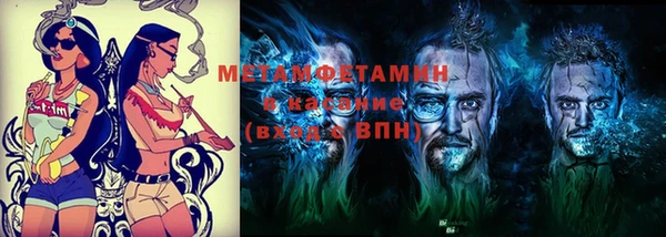ГАЛЛЮЦИНОГЕННЫЕ ГРИБЫ Заволжье