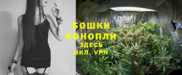ECSTASY Заводоуковск