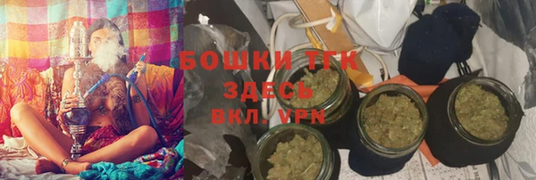 ГАЛЛЮЦИНОГЕННЫЕ ГРИБЫ Заволжье