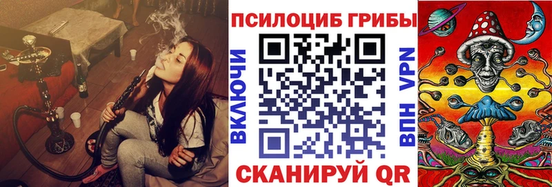 Галлюциногенные грибы мухоморы  продажа наркотиков  Кашира 